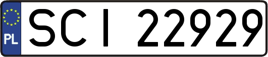 SCI22929