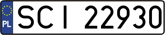 SCI22930