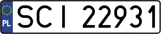 SCI22931