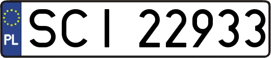 SCI22933