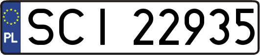 SCI22935