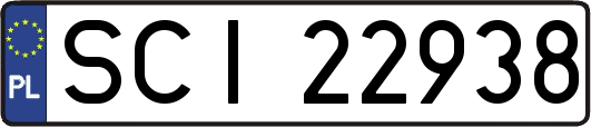 SCI22938