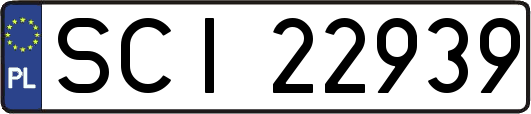 SCI22939