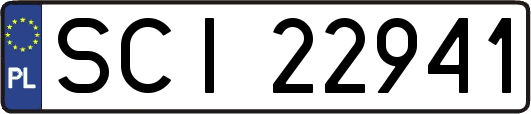 SCI22941
