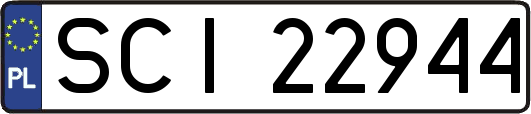 SCI22944