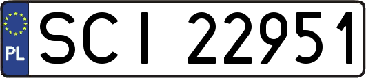 SCI22951
