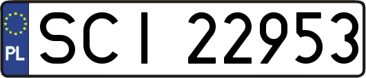 SCI22953