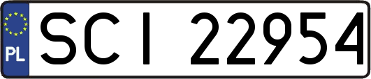 SCI22954