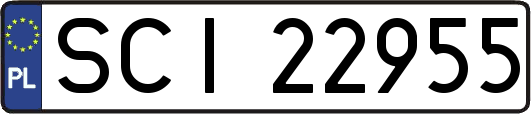 SCI22955
