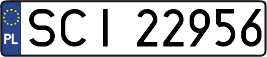 SCI22956