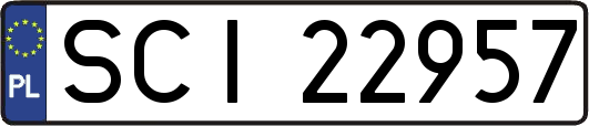 SCI22957