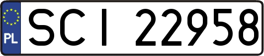 SCI22958