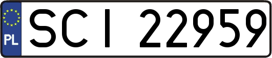 SCI22959