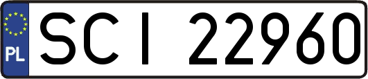 SCI22960