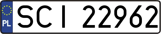 SCI22962