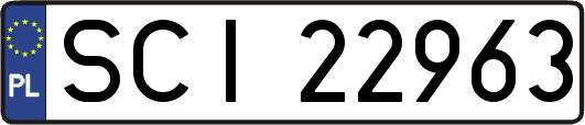 SCI22963