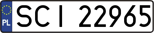 SCI22965