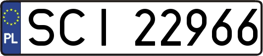 SCI22966