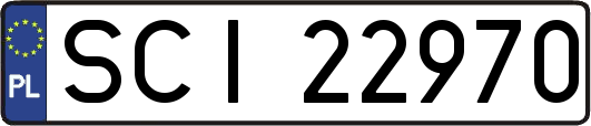 SCI22970