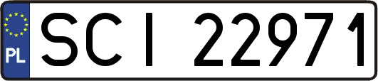 SCI22971