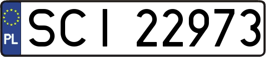 SCI22973