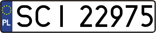SCI22975