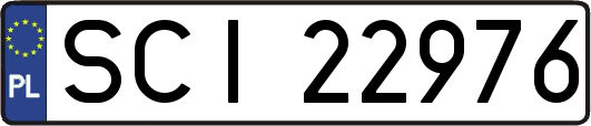 SCI22976