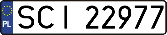 SCI22977