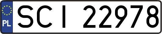 SCI22978