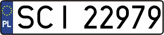 SCI22979