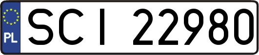 SCI22980