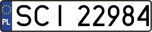 SCI22984