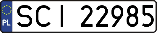 SCI22985
