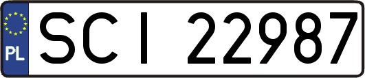 SCI22987