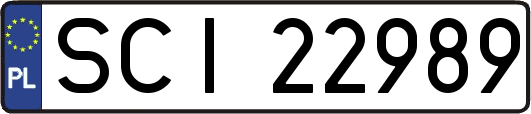 SCI22989