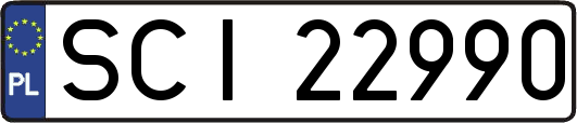 SCI22990