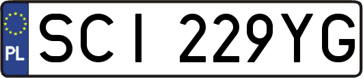 SCI229YG