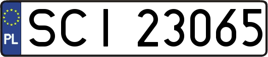 SCI23065