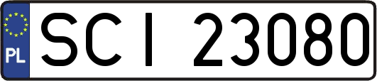 SCI23080