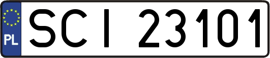 SCI23101