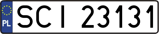 SCI23131