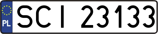 SCI23133