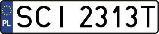 SCI2313T