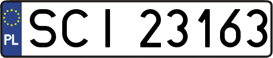 SCI23163