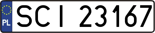 SCI23167