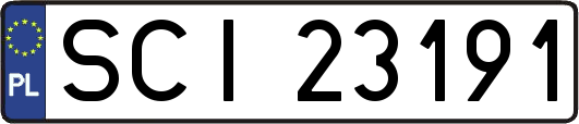 SCI23191