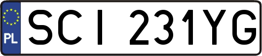 SCI231YG