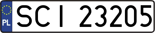SCI23205