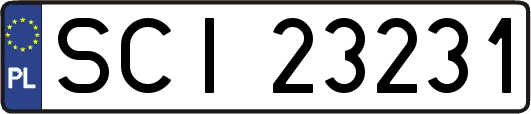 SCI23231