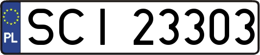 SCI23303